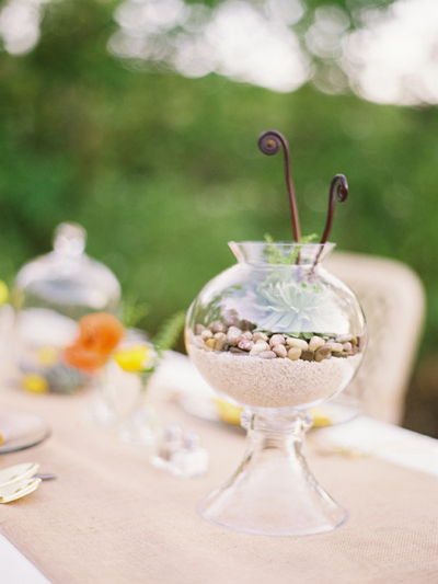 terrarium