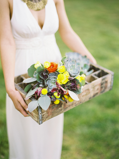 fifty flowers