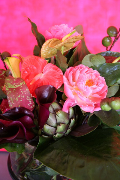 pink peony