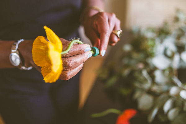DIY, poppies