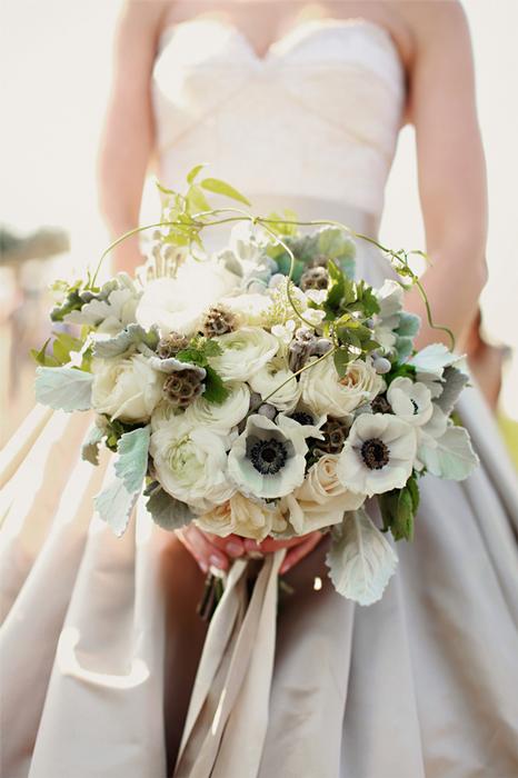 Michele Waite Photography