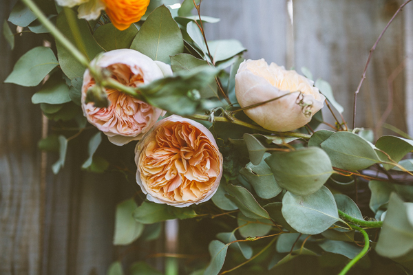 Eucalyptus and garden roses