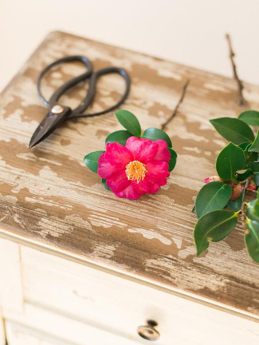 JANIE MEDLEY FLORA DESIGN, CAMELLIA BOUQUET