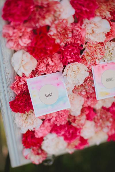 pink carnations