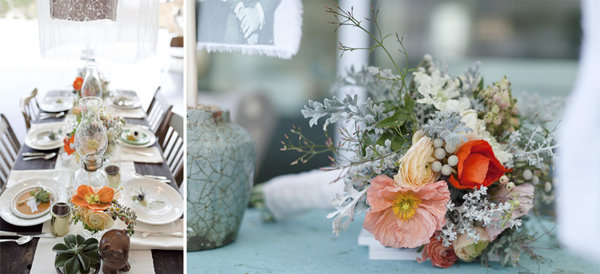 dusty miller