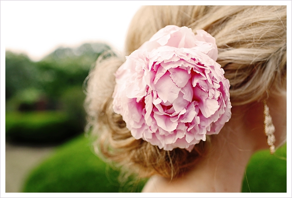 pink peony