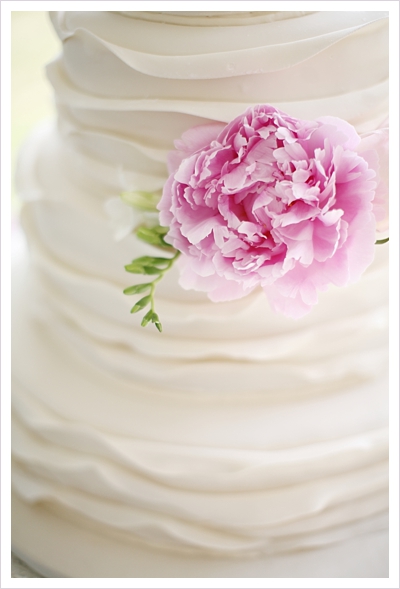 pink peony