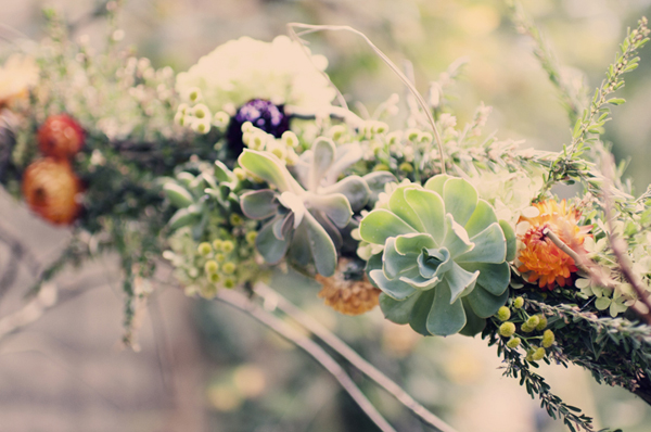 succulents