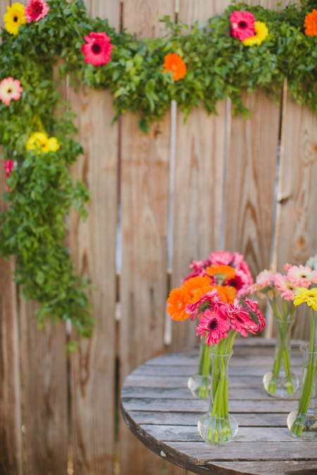 Gerber Daisies and Bud Vases