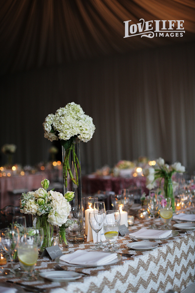 veritas vineyard reception
