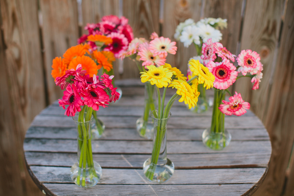 Gerber Daisies and Bud vases