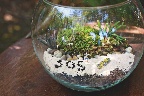 terrariums