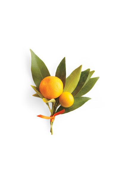 kumquat boutonniere