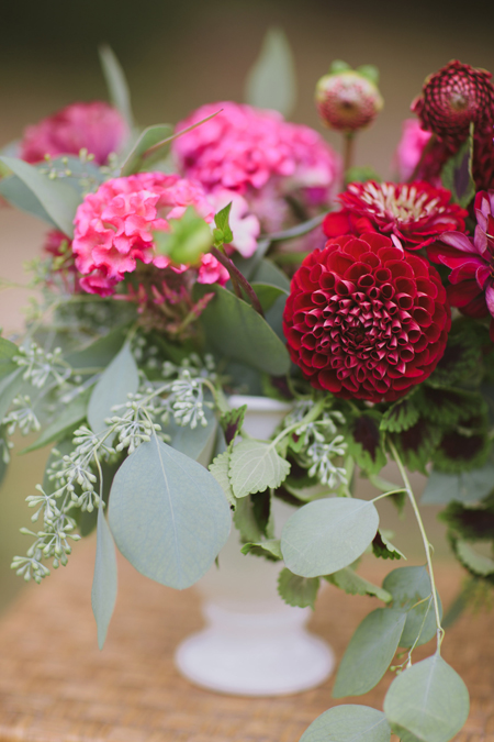 celosia, zinnia, dahlia