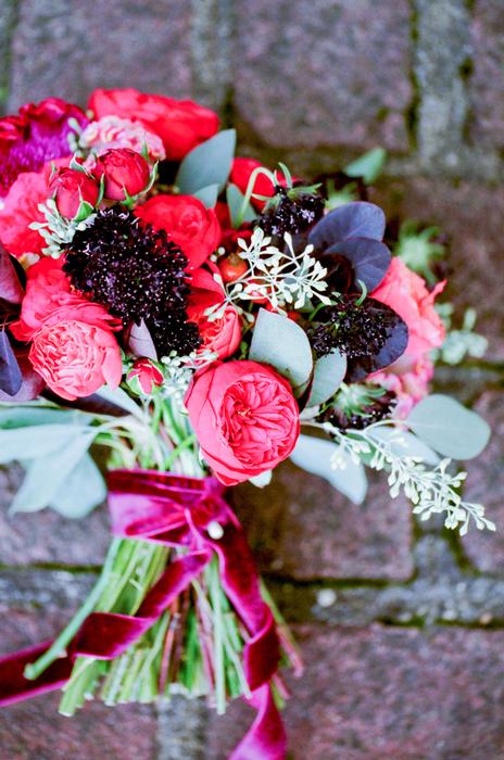 garden roses