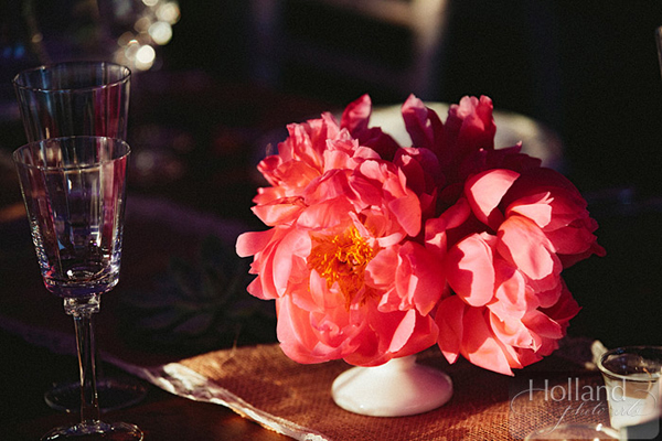 coral peony
