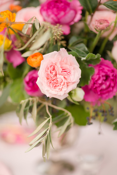 pink garden roses