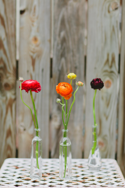 burgundy ranunculus