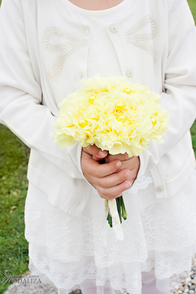 Yellow Carnations