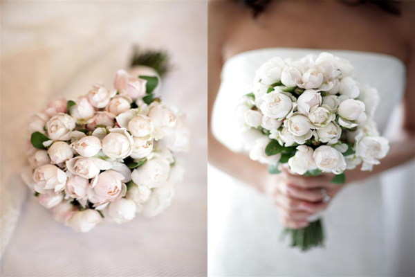 Cream Garden Roses