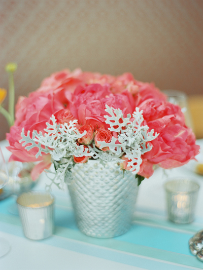 Dusty Miller