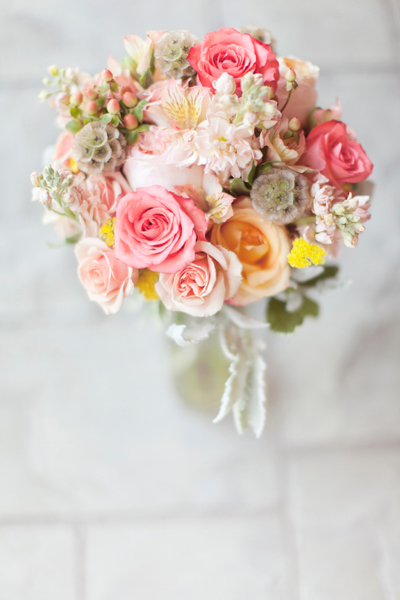 pink roses and dusty miller