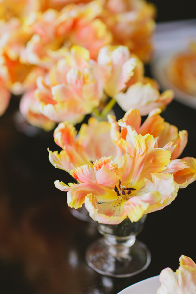 orange parrot tulips
