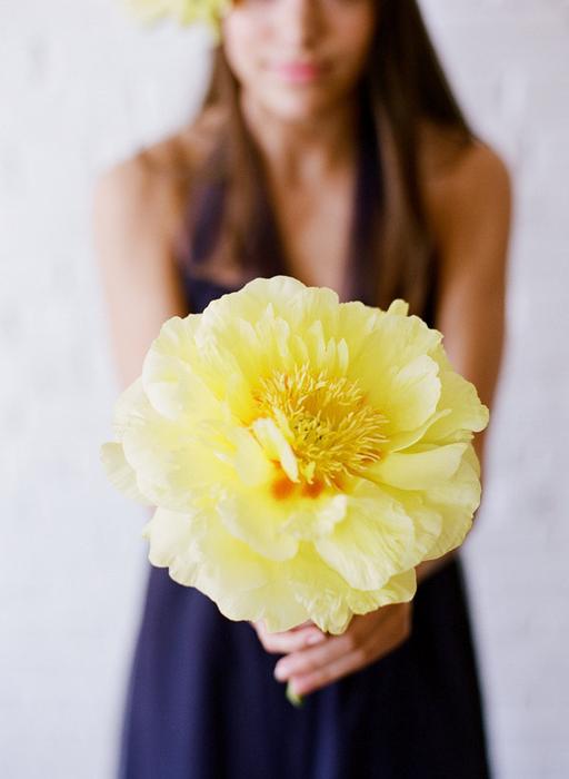 yellow tree peony
