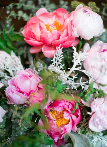 peonies and dusty miller