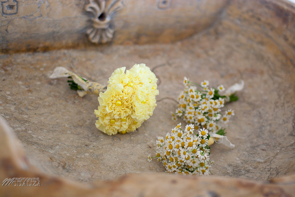 Chamomile