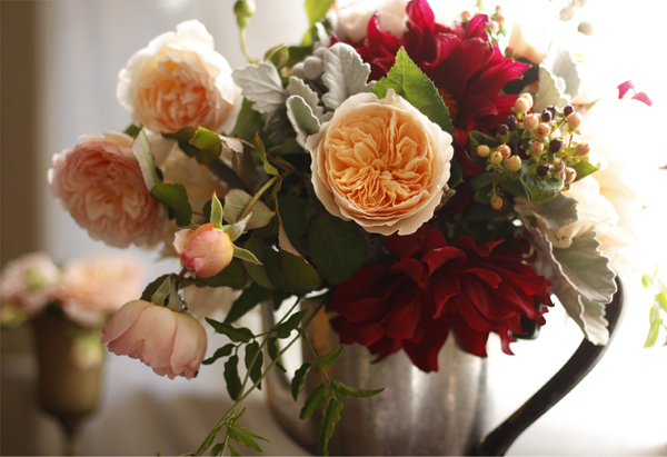 garden roses