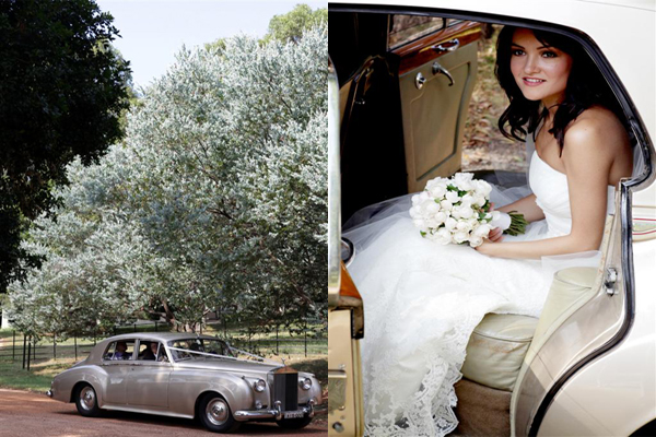 wedding photographer
