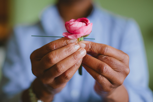 ranunculus