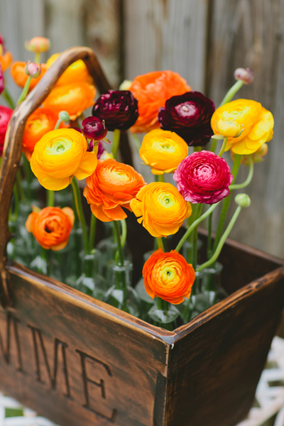 yellow and orange ranunculus