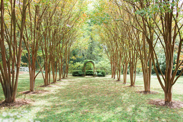 Tuckahoe Plantation