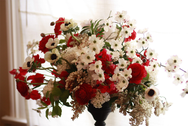 red and white flowers