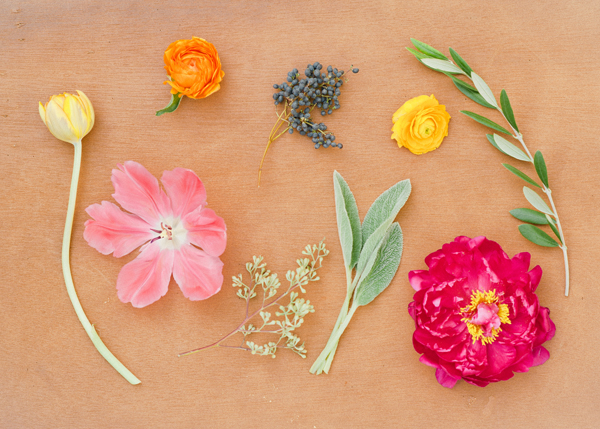 spring flowers