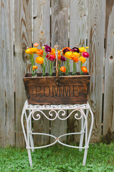 fifty flower ranunculus
