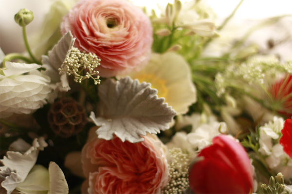 pink ranunculus