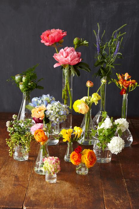 Tulipina Floral Design