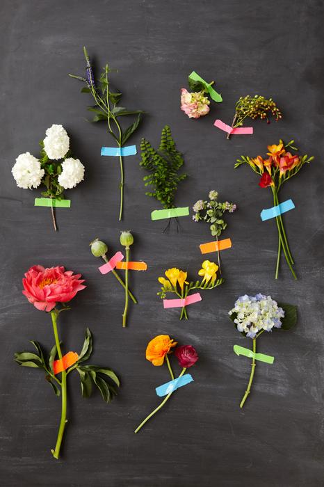 Tulipina Floral Design, Sring Flowers