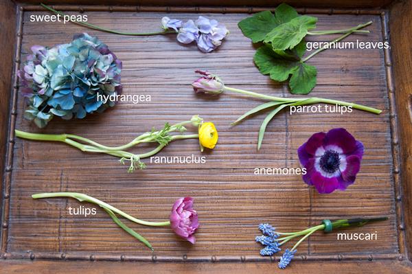 spring flowers