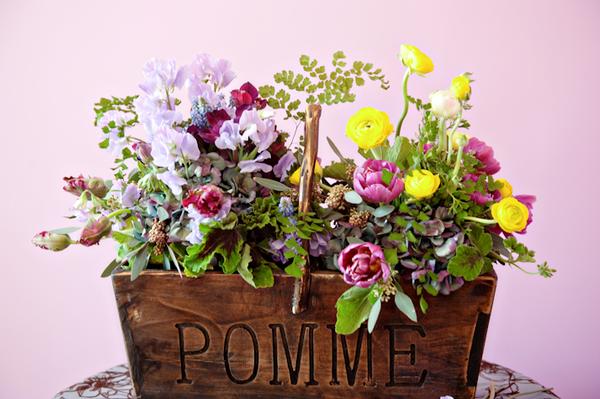 sweet pea, geranium leaves