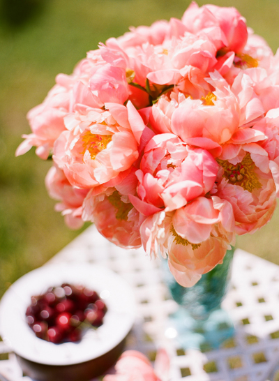 CORAL PEONIES