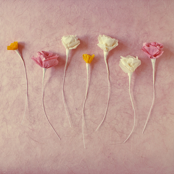 crepe paper flowers