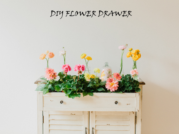 DIY FLOWER DRAWER