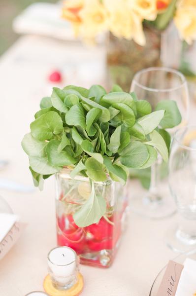 radishes