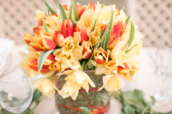 tulips and daffodils
