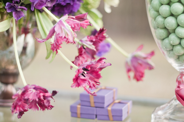 parrot tulips