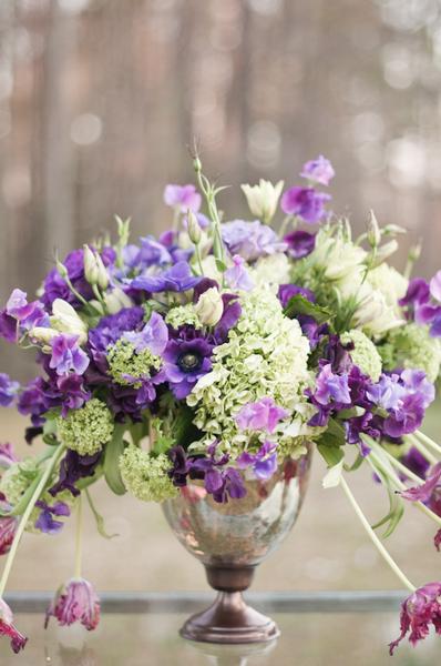 purple flowers